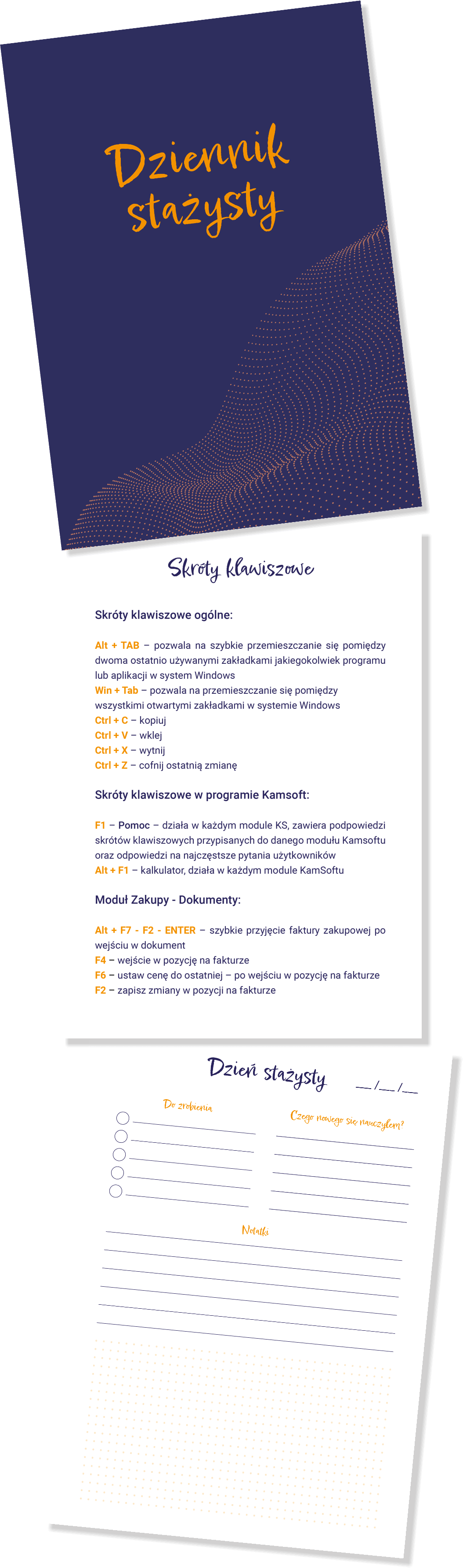 dziennik-stazysty_1(1)